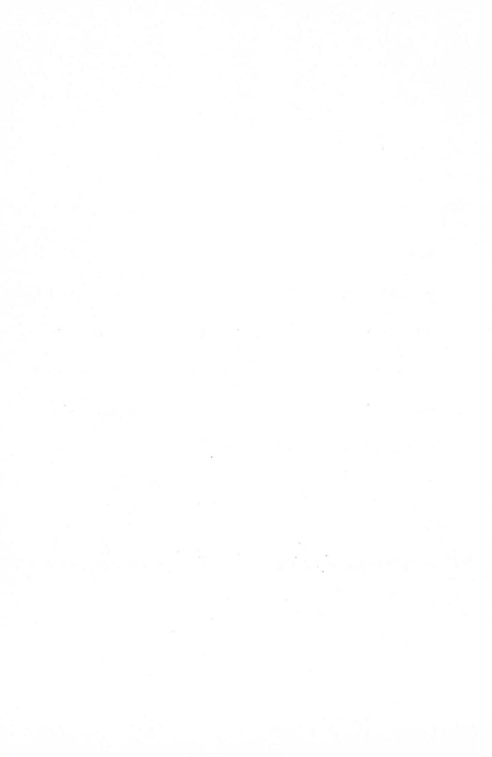 202504151333200005.jpg