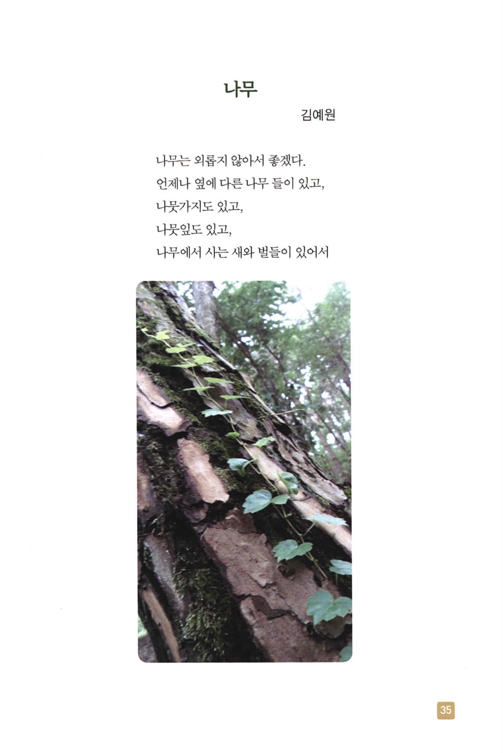 202504151341070009.jpg